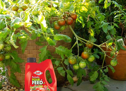 Doff Tomato Pour & Feed 3 Litre