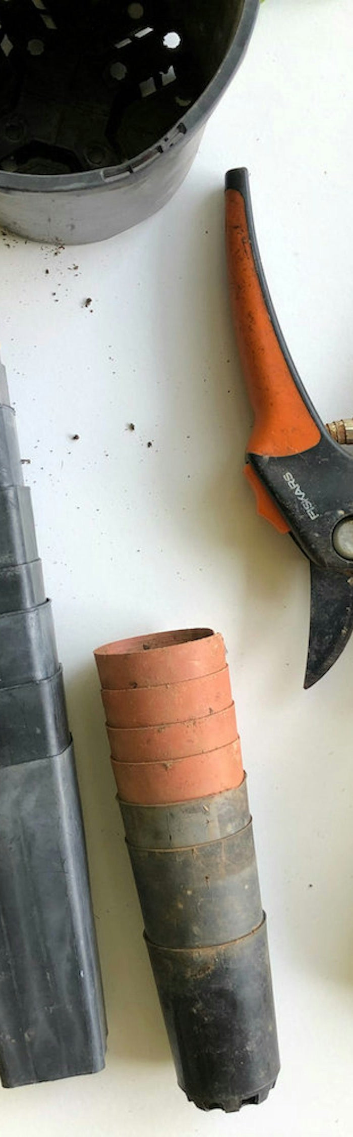 Plant, Prune & Prepare