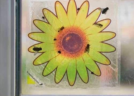 Pest-Stop Window Fly Stickers Pack Of 8