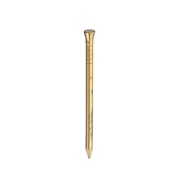 Unifix Brass Panel Pins 30 x 1.60mm - 500g Pack - 9BPP/020