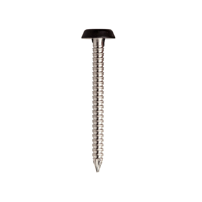 JCP Fixings A4-316 Stainless Steel Plastic Headed Nails Black Top - 40 x 2.00mm (Box of 250)