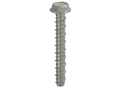 Thunderbolt Thunderbolt All-Purpose Anchors Hexagon Flange Head Galvanised - M6 x 50 (Box of 100)