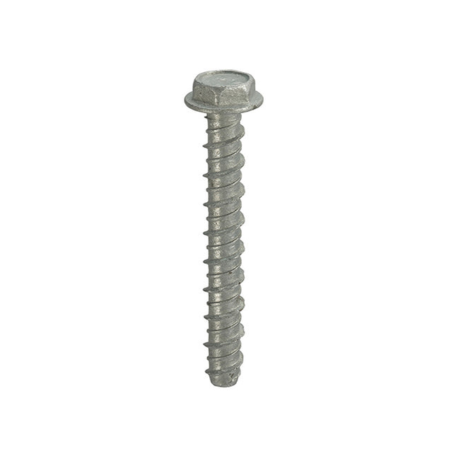 Thunderbolt Thunderbolt All-Purpose Anchors Hexagon Flange Head Galvanised - M6 x 50 (Box of 100)