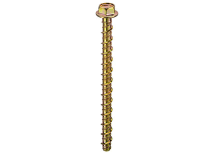 Thunderbolt Thunderbolt All-Purpose Anchors Hexagon Flange Head ZYP - M6 x 50 (Box of 100)