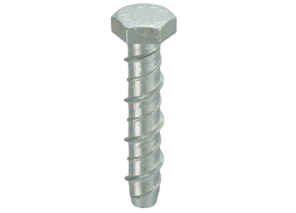 Thunderbolt Thunderbolt All-Purpose Anchors Hexagon Head Galvanised - M12 x 200 (Box of 20)
