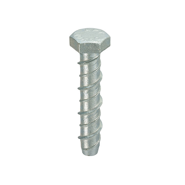 Thunderbolt Thunderbolt All-Purpose Anchors Hexagon Head Galvanised - M10 x 100 (Box of 50)
