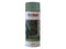 Plastikote Garden Colours Spray Paint Willow Green 400Ml