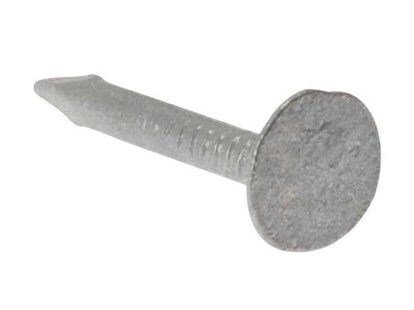 Forgefix Clout Nail Extra Large Head Galvanised 30Mm (2.5Kg Bag)