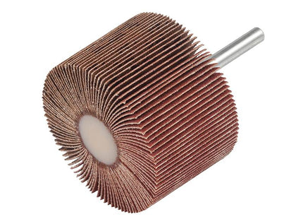 Garryson Sd10030C Flap Wheel 100 X 30Mm - Coarse