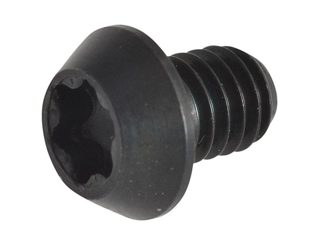 TREND Rt/3.5 Torx Replacement Screws