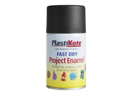 Plastikote Fast Dry Enamel Aerosol Matt Black 100Ml